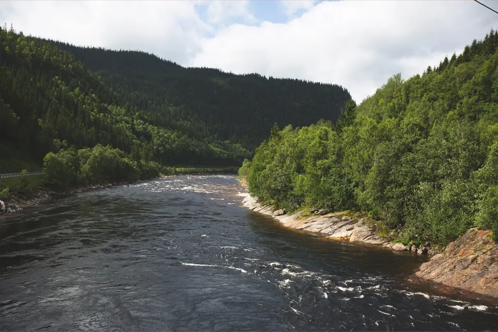 A sunray-lit river flowing through a forest with trees casting shadows in the background.